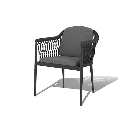 finish option-tango dining chair 拷贝 2