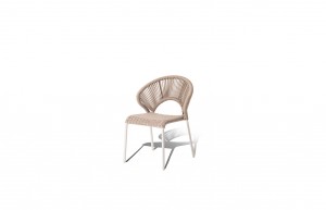 Holly Dining Chair